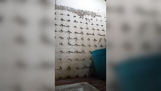 lei piscia nella toilette