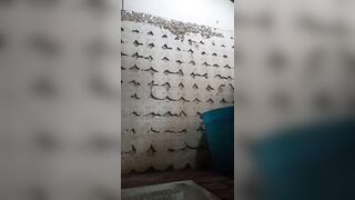 lei piscia nella toilette