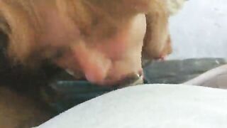 Troietta bianca succhia cazzone nero