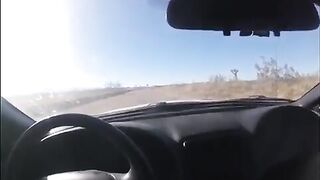 Splendidi pompini neri