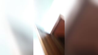 Bergamasca porca scopata a pecorina