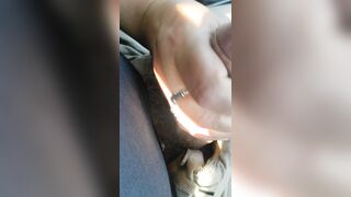 La porca di mi sega in auto