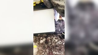 Zia Culona in Negozio