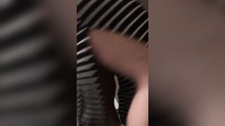 Zia Culona a Novanta/Pecorina