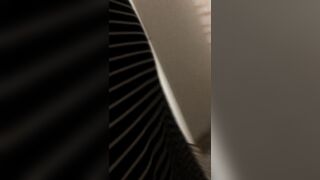 Zia Culona a Novanta/Pecorina