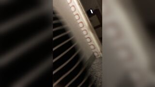 Zia Culona a Novanta/Pecorina