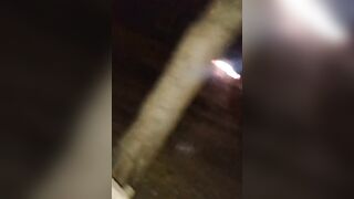 Cazzo di un BULL per mia moglie Antonella