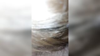 Cazzo di un BULL per mia moglie Antonella