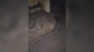 Diretta streaming con la troia da marciapiede