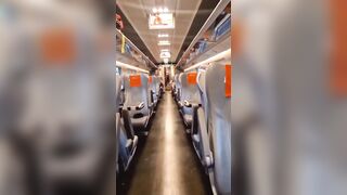 Su trenitalia con francyloverossi