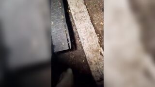 DUE CAZZI SONO MEGLIO DI UNO ! Lo sa sta porca !