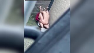 La prostituta scopa con il senegalese