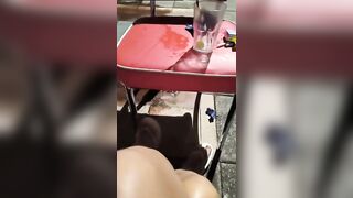 La camgirl va al night col suo toro