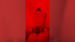 Amante svizzera a pecora 1