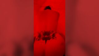 Amante svizzera a pecora 1