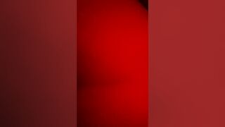 Amante svizzera a pecora 2