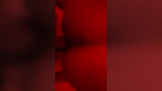 Amante svizzera a pecora 2