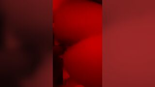 Amante svizzera a pecora 2