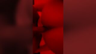 Amante svizzera a pecora 2