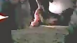 Per chi piace il vedo non vedo!