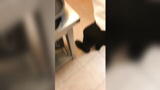 Puttana Culona Rumena Cameriera Se lo Vuole far Sbattere a Novanta Durante servizio