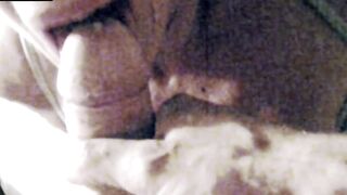 La vecchia troia succhia avida la minchia