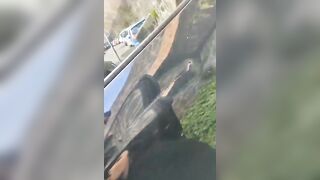 Vengo in faccia alla puttana