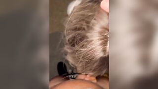 Anteprima del video: Due amiche troia condividono un cazzo duro