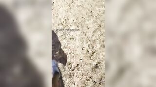 Camgirls italiana si diverte a scopare