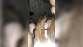 Trans porcona mi succhia la mazza