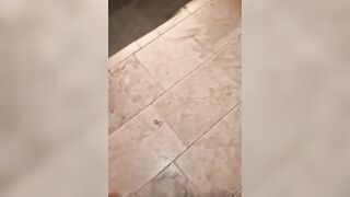 Mia moglie zoccola con il BULL