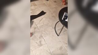 Mia moglie zoccola con il BULL