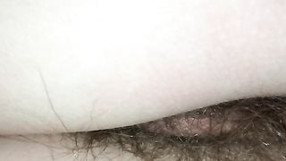 Splendida tettona colombiana