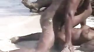 Negra porca scopata a pecora sulla spiaggia