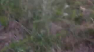 Moglie porca si distende nuda nel prato