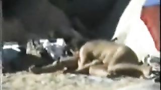 Video spycam - matura coppia eccitata sulla spiaggia