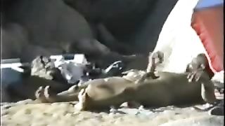 Video spycam - matura coppia eccitata sulla spiaggia