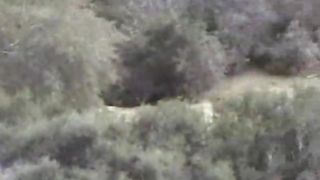 Voyeur su spiaggia nudista alle Canarie