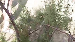 Persone prendono il sole nude