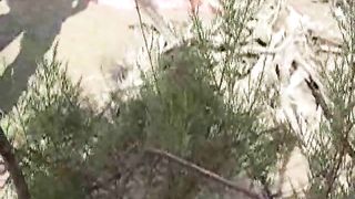 Persone prendono il sole nude