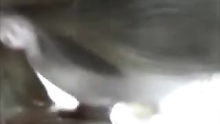 Bel pompino amatoriale in automobile