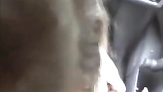 Bel pompino amatoriale in automobile