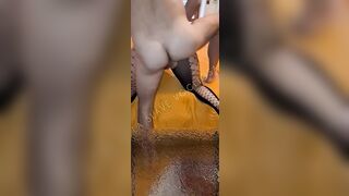 Il bull monta e sfonda a pecora la moglie vogliosa e il cornuto filma