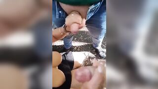 Milf troia si diverte con due cazzi on plain air