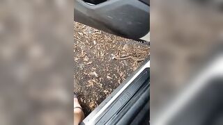 Milf troia si diverte con due cazzi on plain air