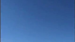 Giovane toia nera catturata