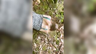 La scopo a pecora in giardino