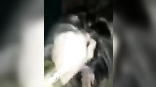 La mia ragazza trapanata dal bull me lo suka