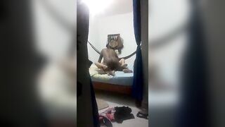 SPIO STEFY CON IL SUO BALLERINO !!