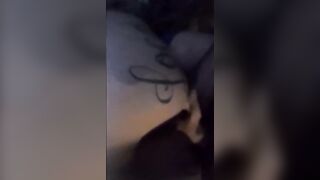 Pompino all'aperto dalla fidanzata